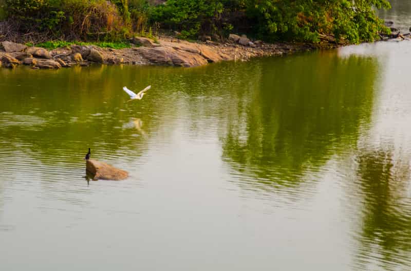 Lalbagh Lake