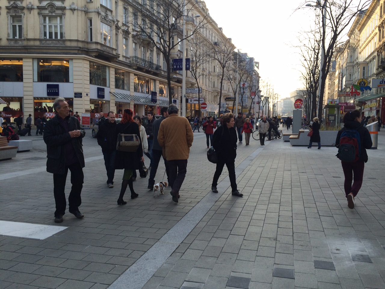 Pedestrian Zone Mariahilferstrasse in Vienna