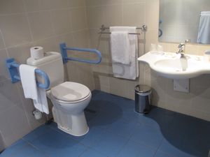 Physically Handicapped Toilet, Europe